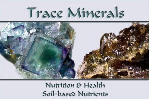 trace-minerals